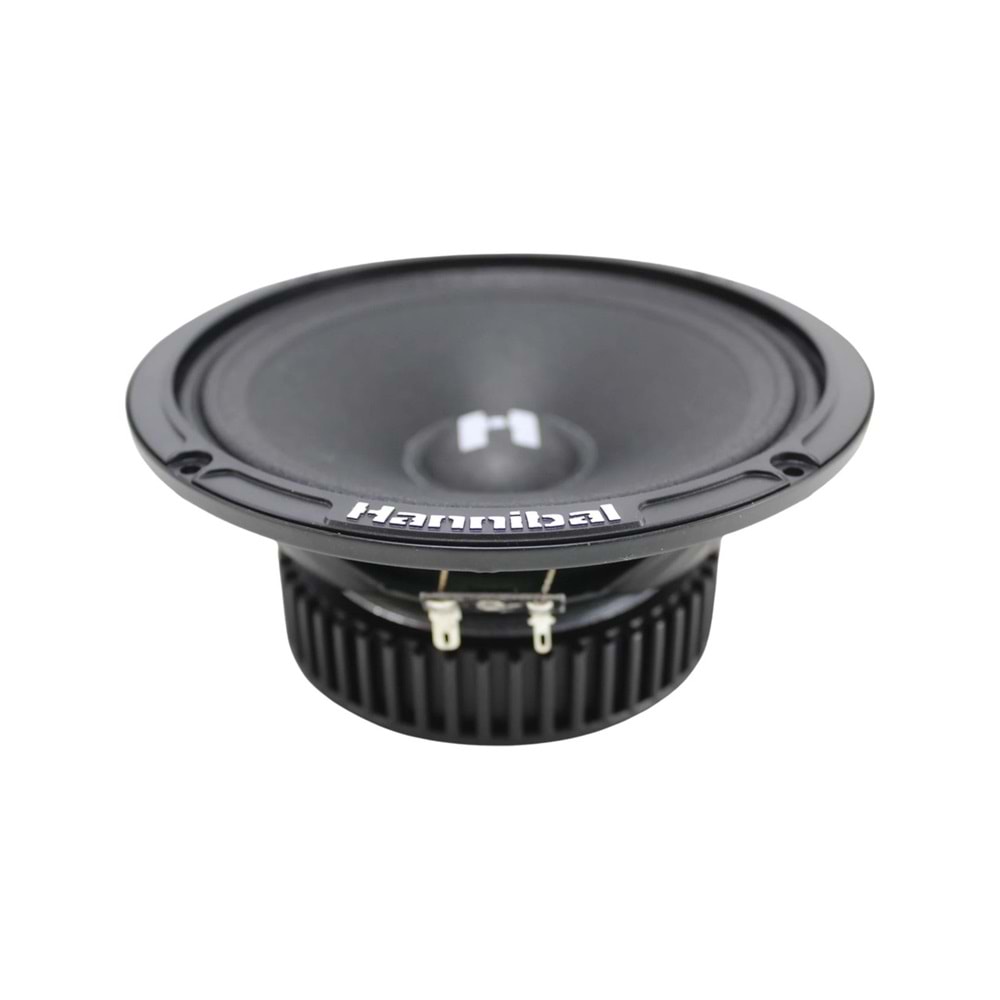 Hannibal HM-6S 200 Watt Max Power + 100 Watt RMS 16 cm Midrange Takımı