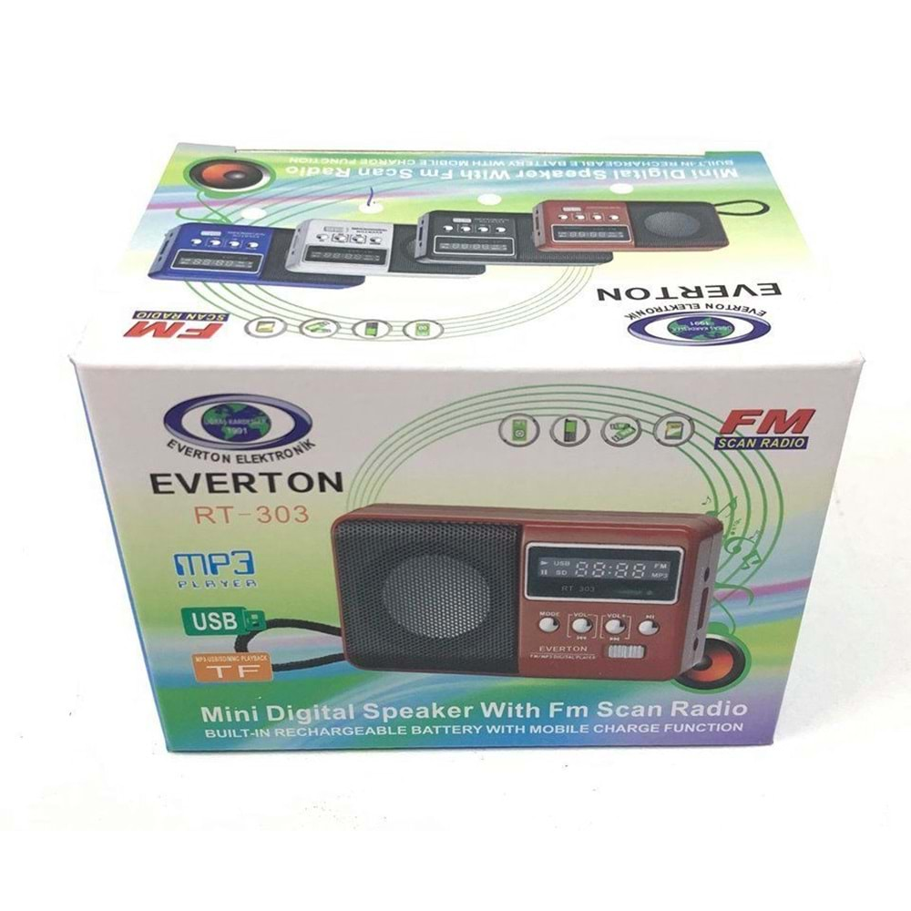 Everton RT-303 Mini Digital Radyo