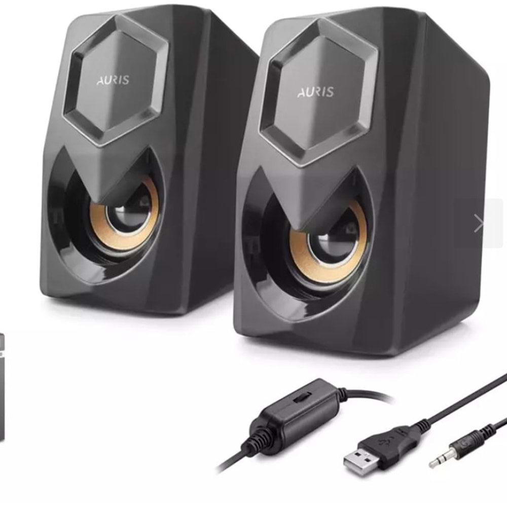 Auris ARS-PCSP40 Bilgisayar Hoparlörü 1+1 Siyah
