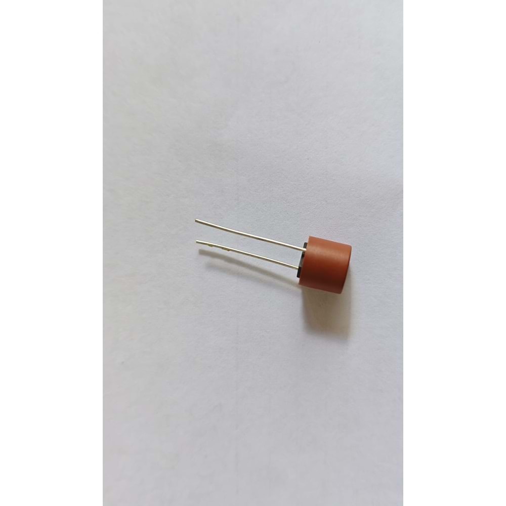 T2.5A-250V Fuse Sigorta