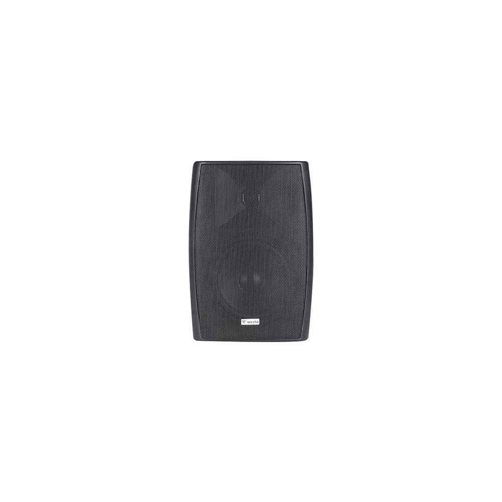 Westa WS-55TB 13 cm Hat. Plastik Kabin Hoparlör Siyah
