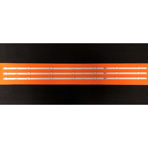RTL-1121 Sunny 43