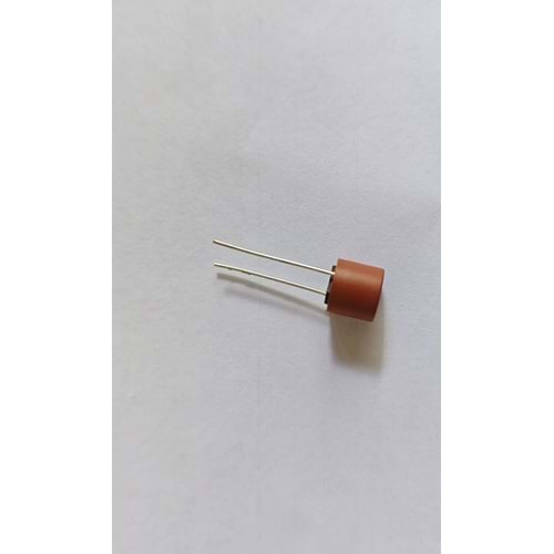 T2.5A-250V Fuse Sigorta