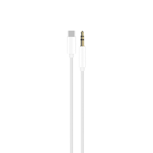 Powerway AC10 Type-C to Aux Kablo