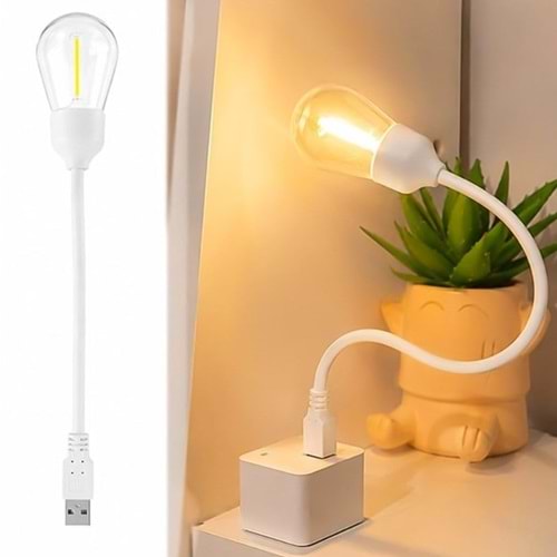Powermaster PM-25790 Esnek Usb'li Ledli Gece Lambası