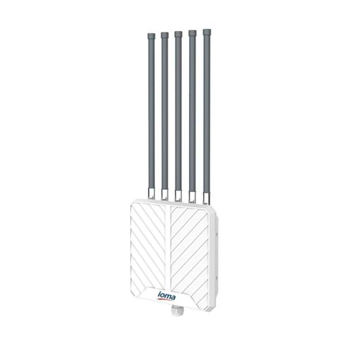 Ioma IO-WA3000H 3000 Mbps Wifi6 Dış Mekan Acces Poınt